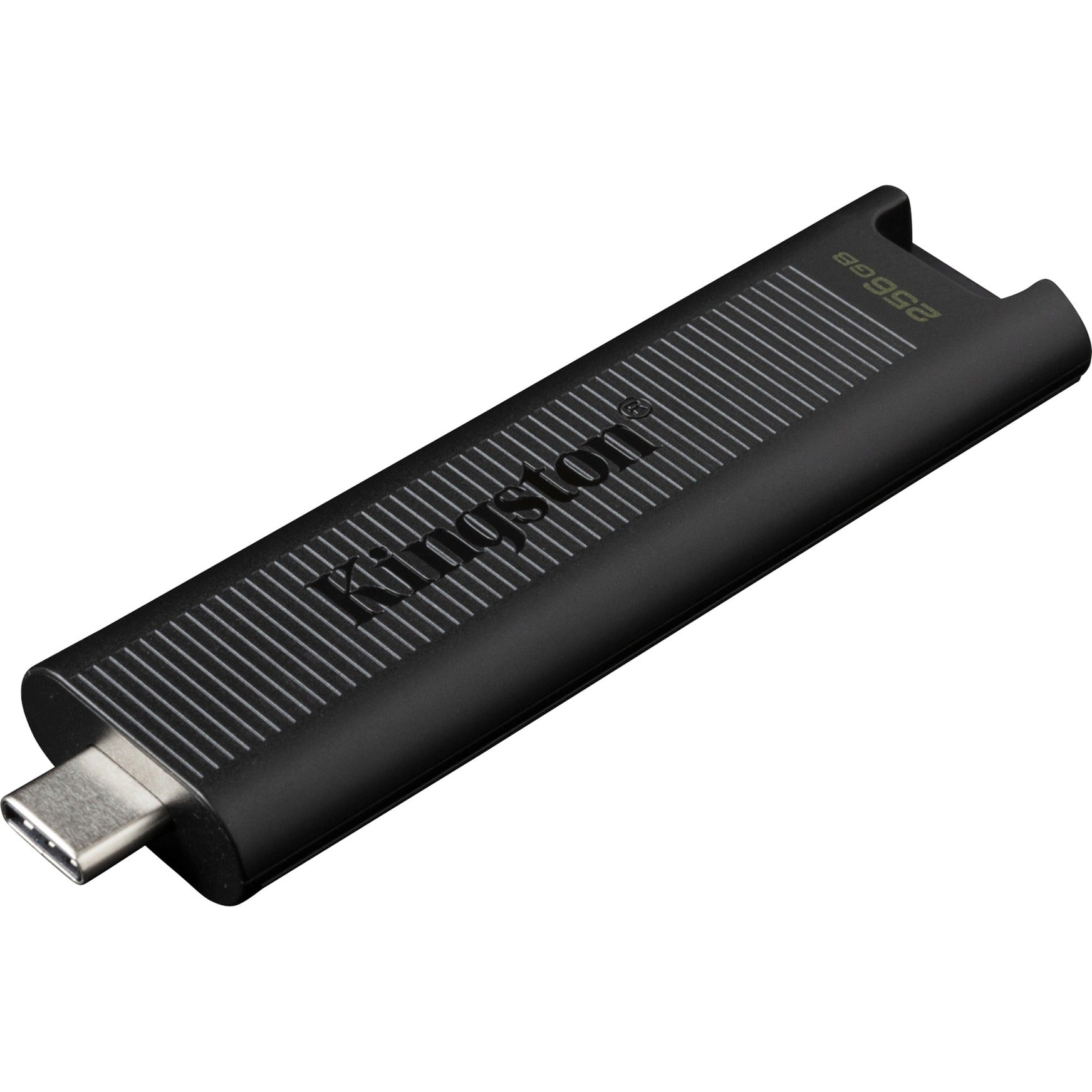 Kingston Kingston DataTraveler Max 256 GB