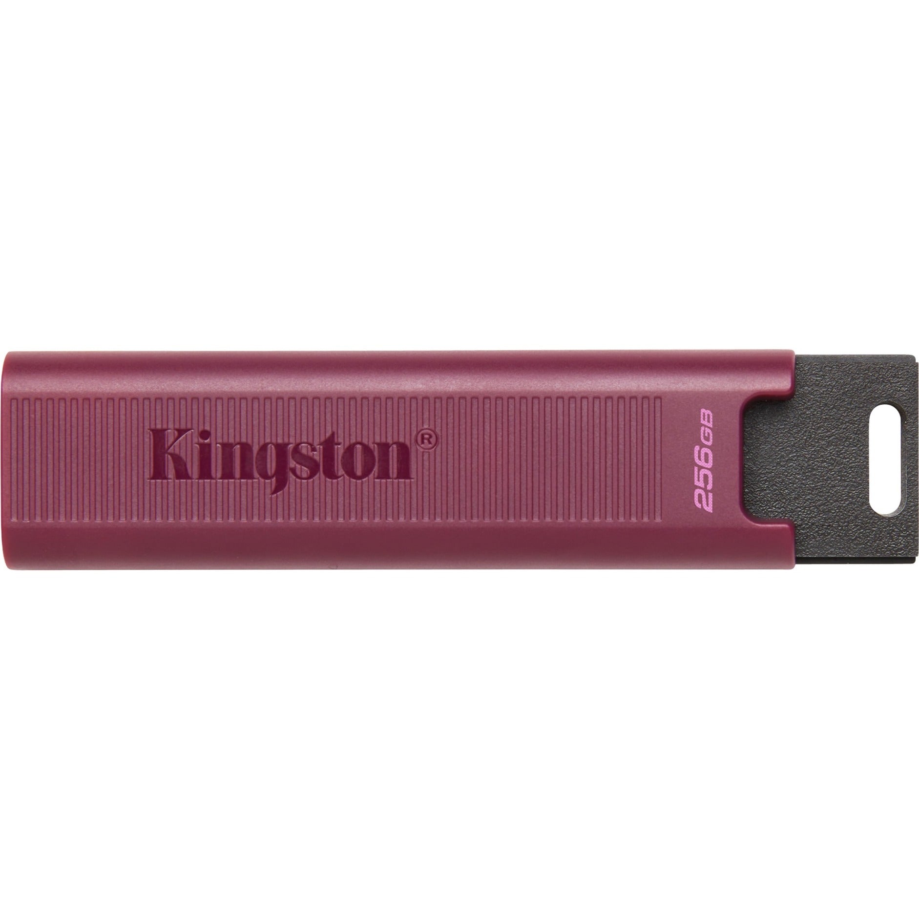 Kingston Kingston DataTraveler Max 256 GB