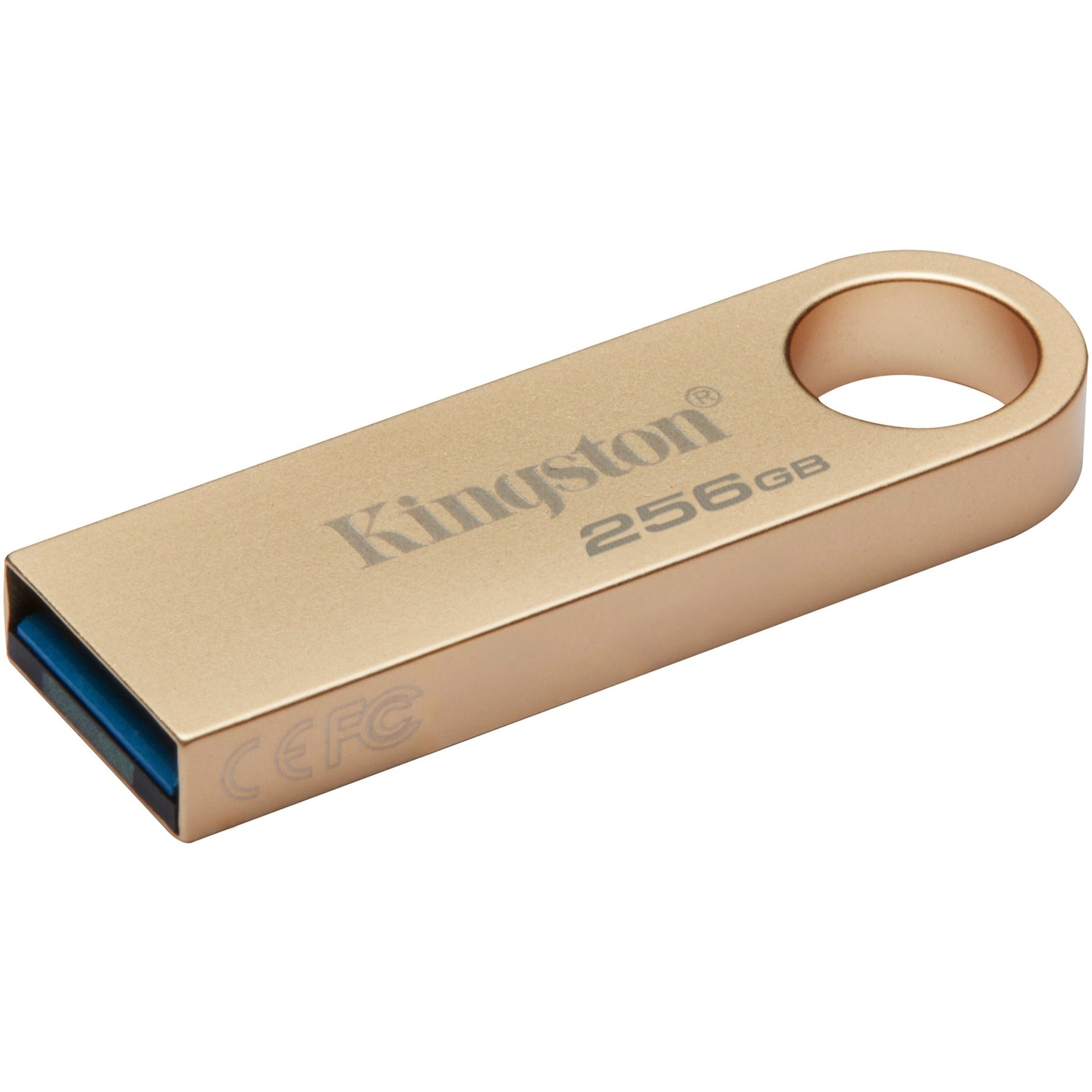 Kingston Kingston DataTraveler SE9 G3 256 GB