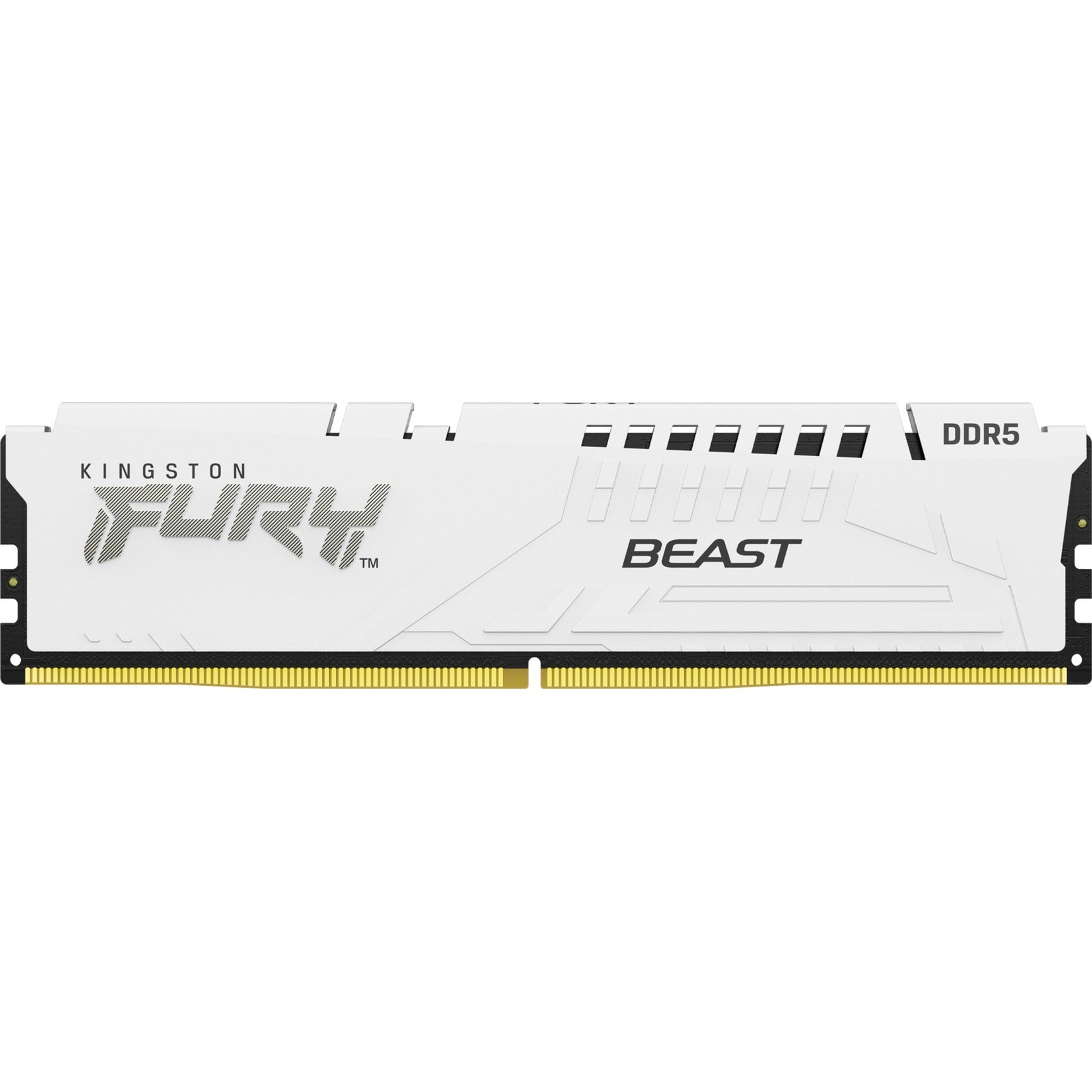 Kingston FURY Kingston FURY 16 GB DDR5-5200