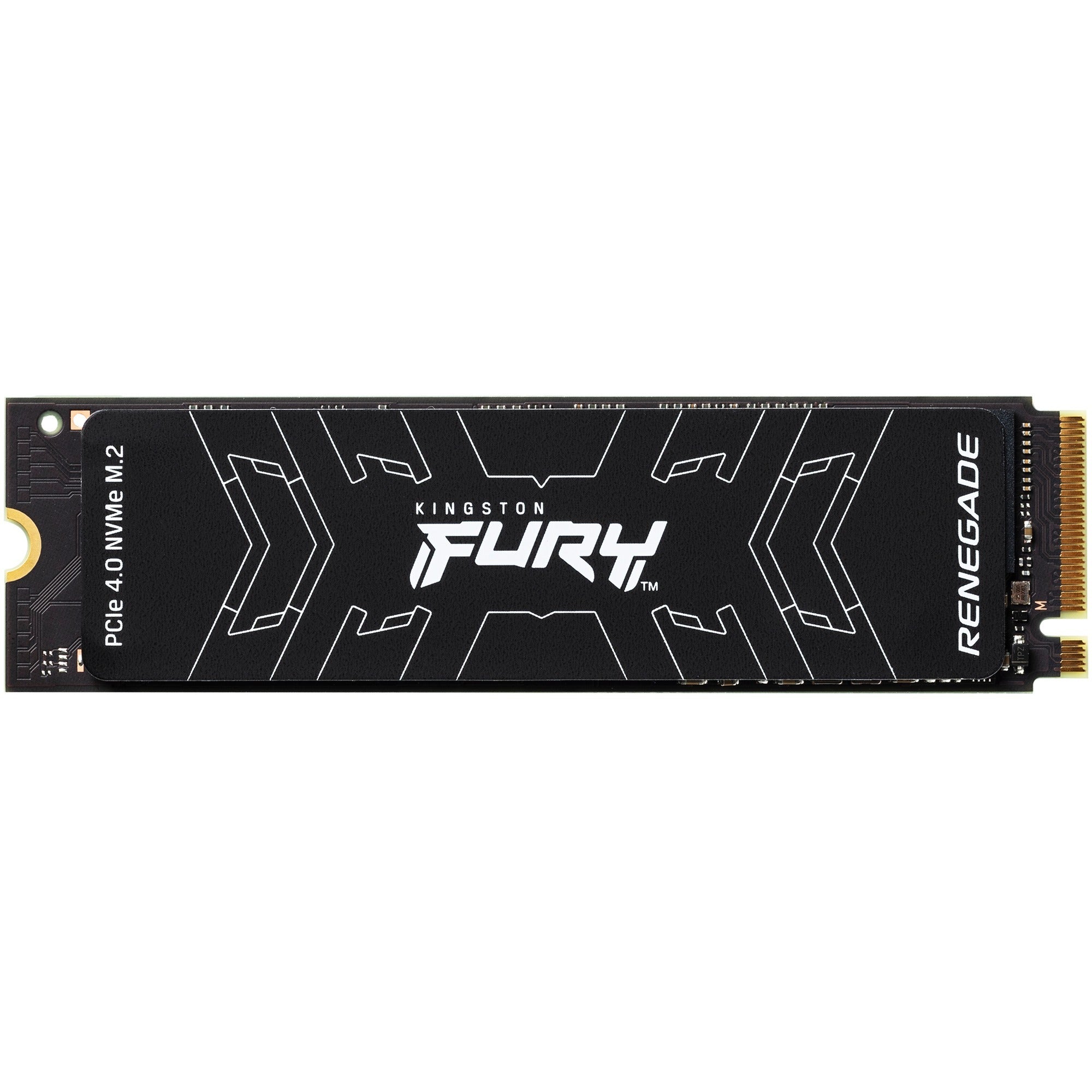 Kingston FURY Kingston FURY Renegade 1 TB