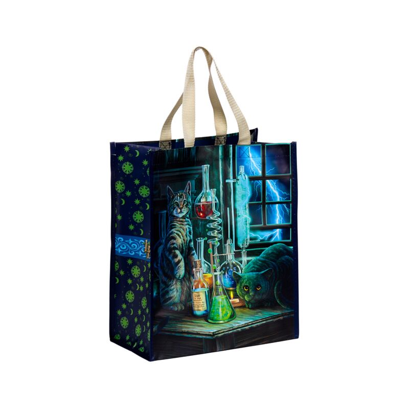 Lisa parker jekyll hyde katten shoppertas