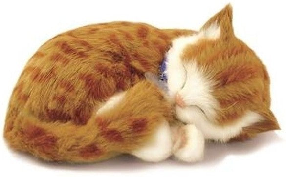 Perfect Petzzz Zacht Oranje Kat
