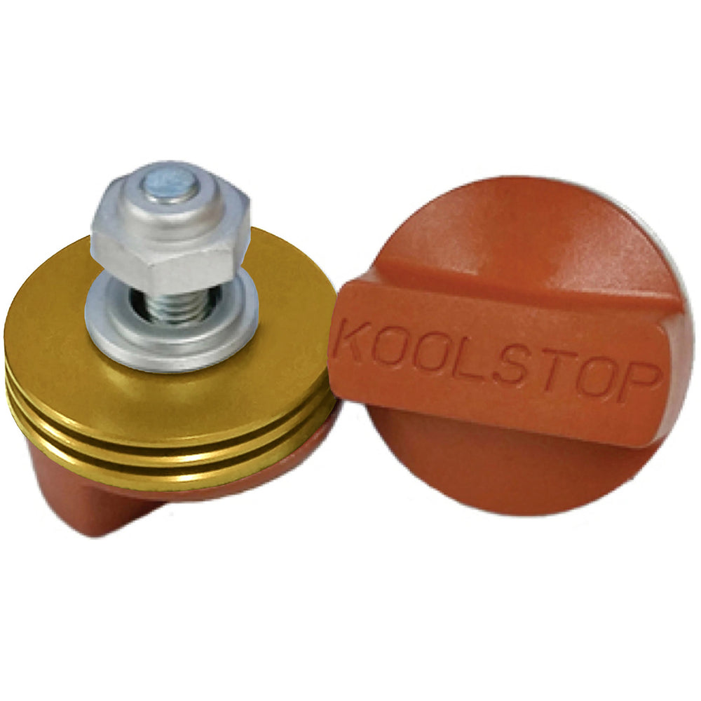 Koolstop remblokset internationaal goud zalm
