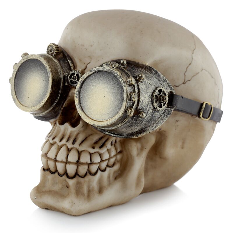 Steampunk-stijl schedel met bril woonaccessoire