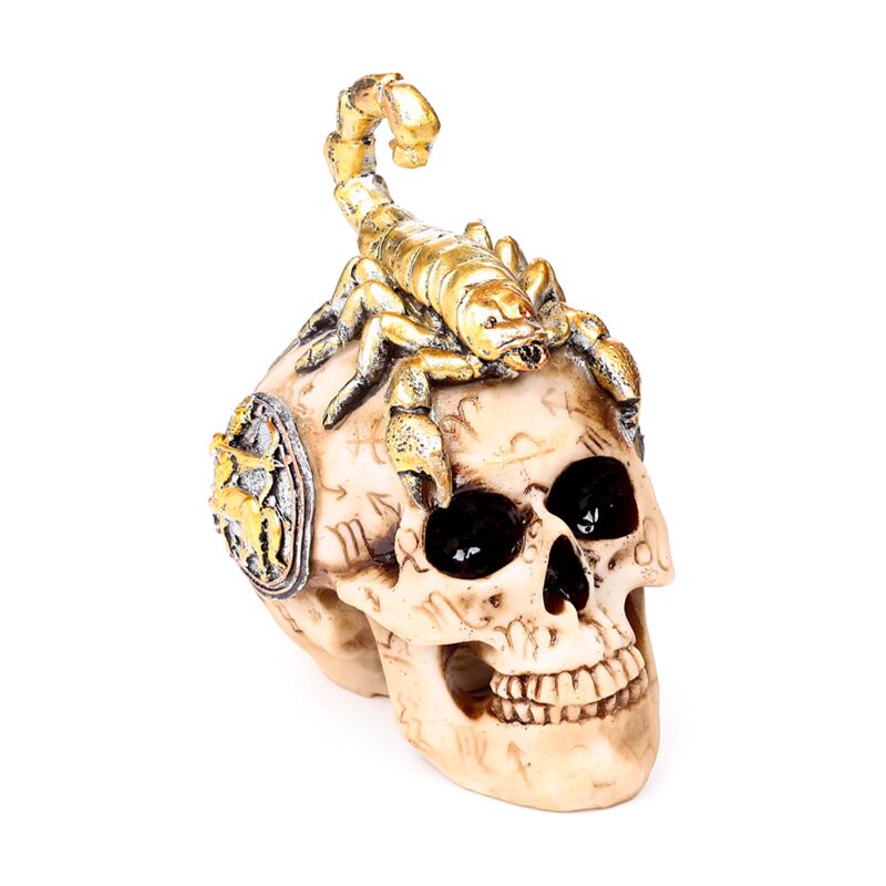 Schorpioen schedel ornament