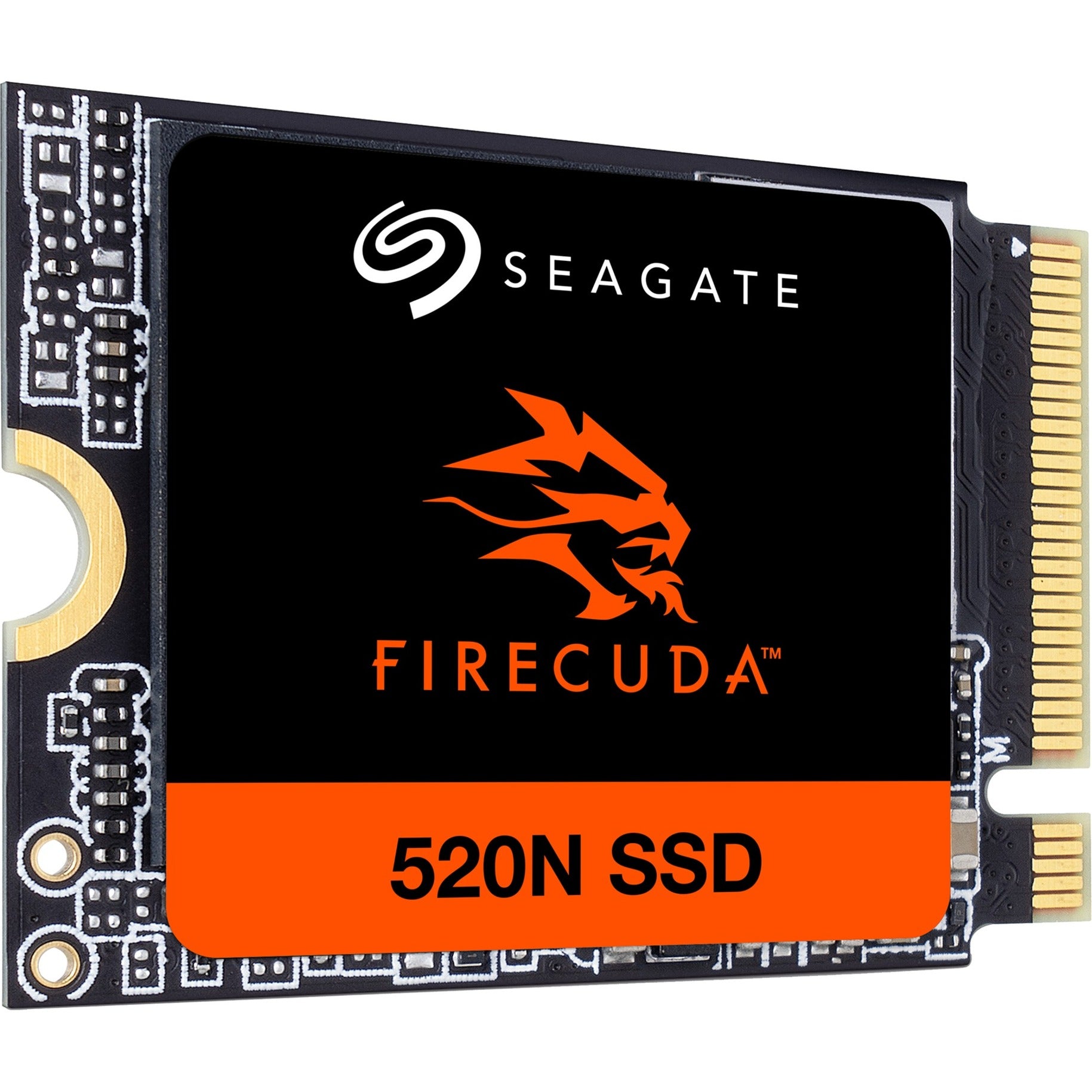 Seagate Seagate FireCuda 520N 1 TB