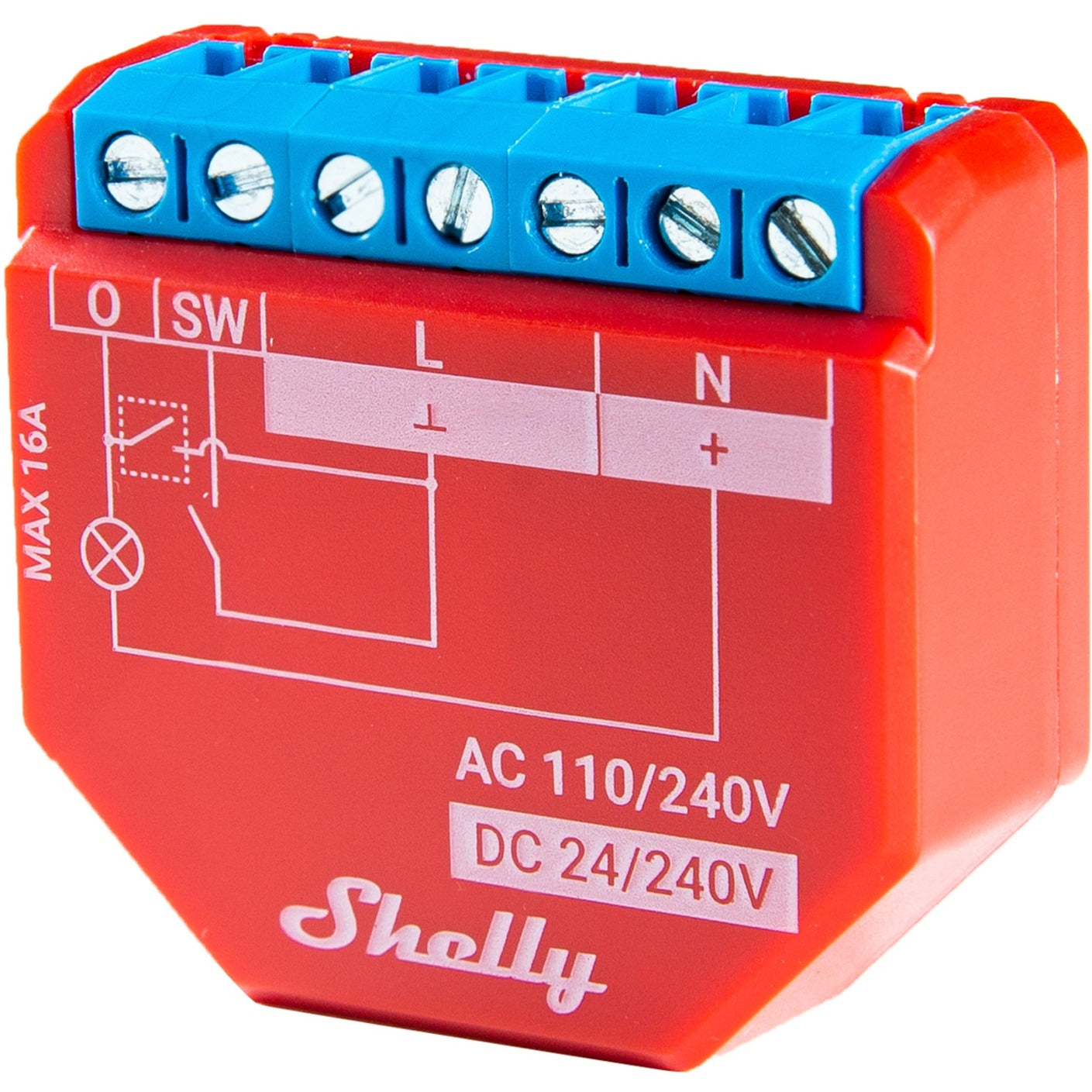 Shelly Shelly Plus 13:00 uur