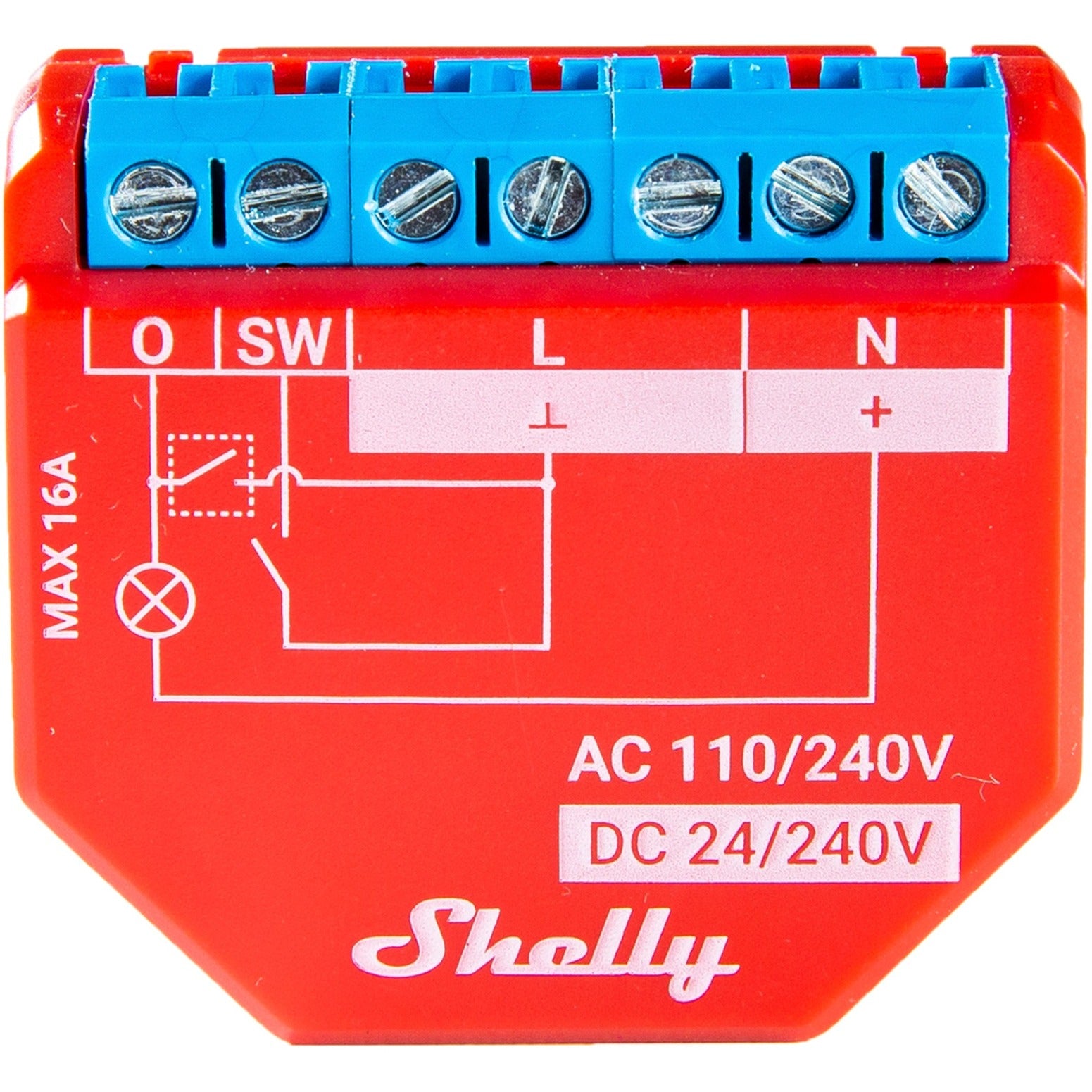 Shelly Shelly Plus 13:00 uur