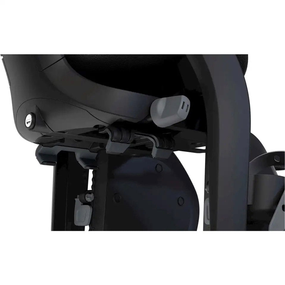 Thule child seats yepp 2 maxi gpt black
