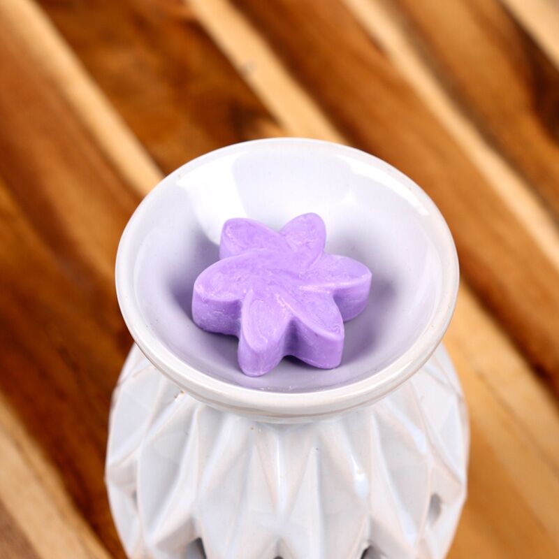 Lavendelvelden set van 6 waxmelts