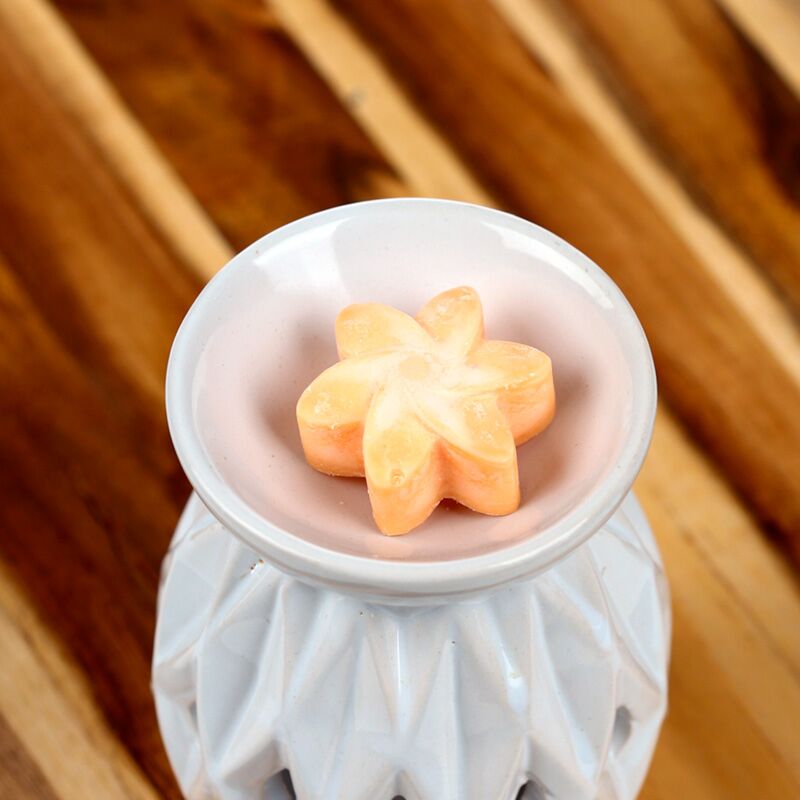 Mangofruitset van 6 waxmelts