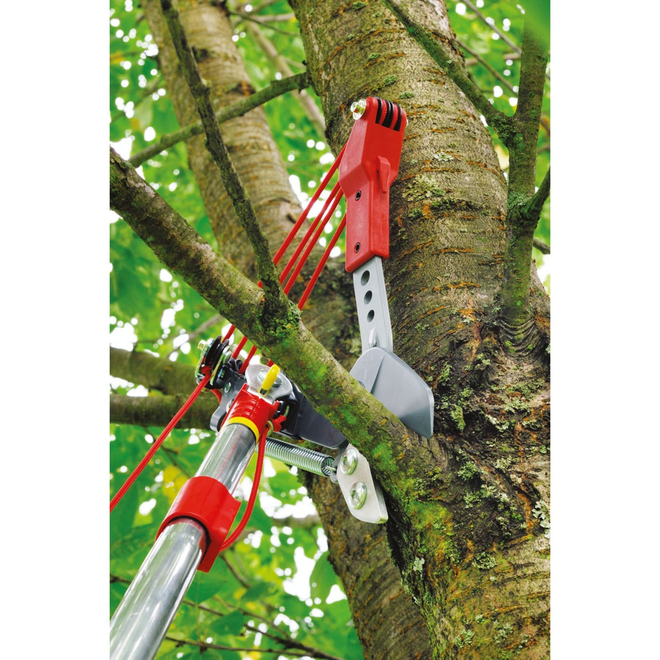 WOLF-Garten WOLF-Garten Multi-star Boomschaar Vario RC-VM