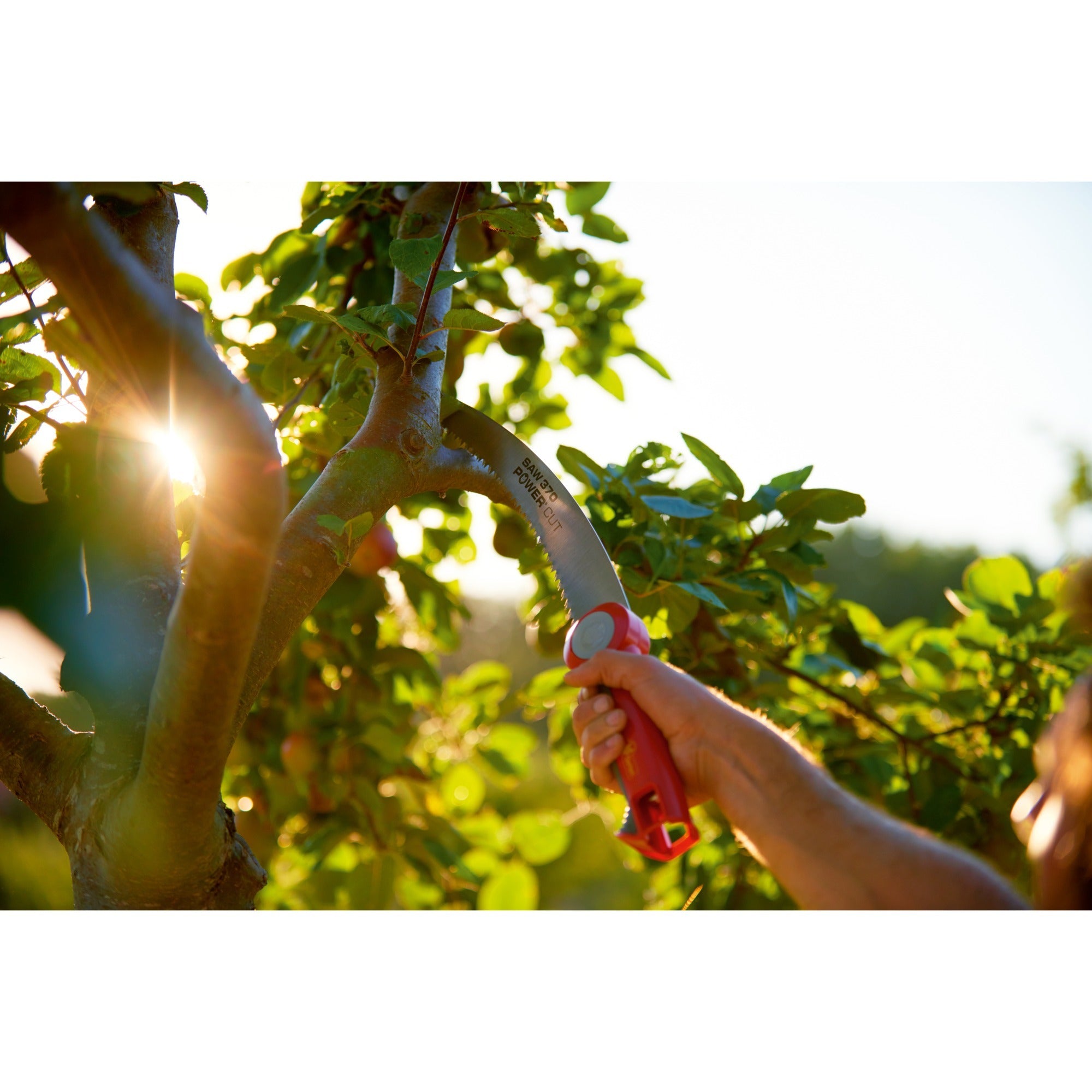 WOLF-Garten WOLF-Garten Multi-star Cut Saw 370 Takkenzaag