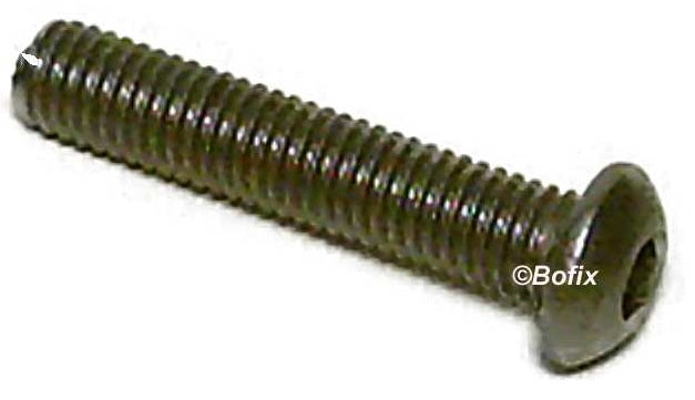 Xtrabike bout inbus bolkop m6x45 roestvrij staal