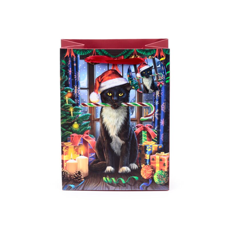 Lisa parker kerstkrampus kat - cadeautasje medium