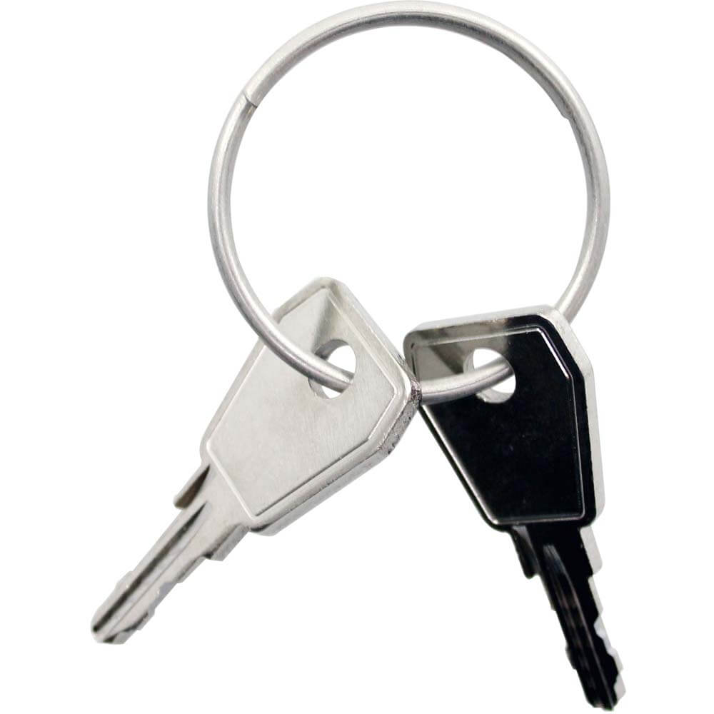 Thule Yepp Nexxt key P0 2 pieces