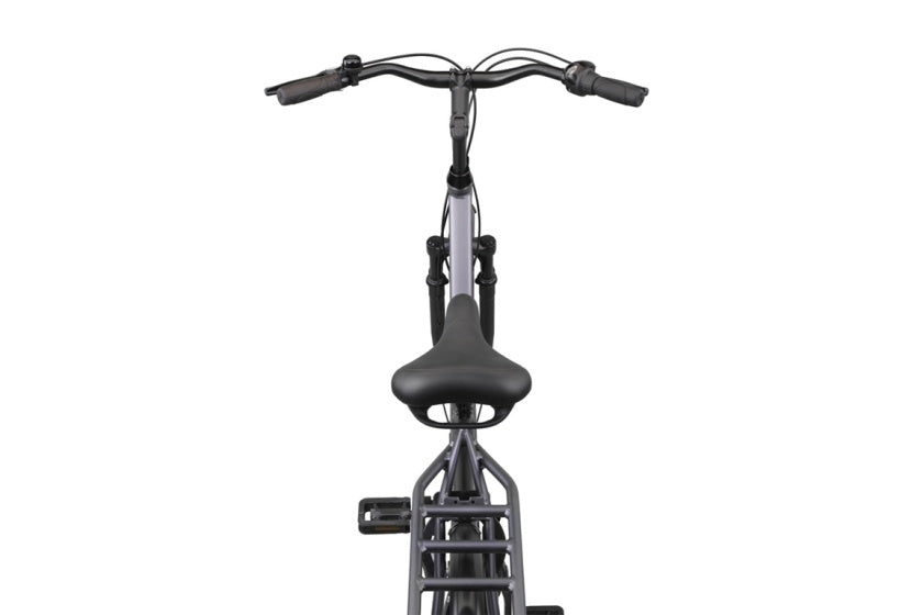 Altec Delta + Plus Vélo Femme 28 pouces N-3 56cm Gris Mat
