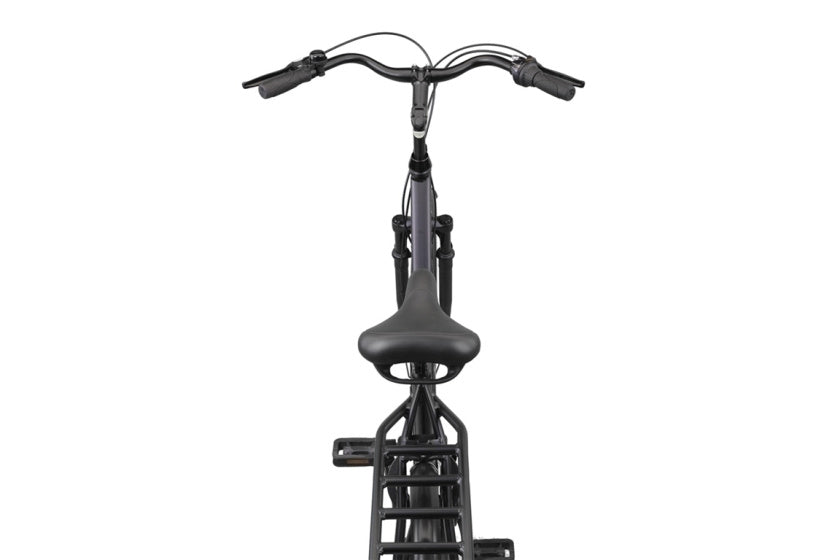 Altec Delta + Plus 28 pouces Vélo Femme N-3 50cm Noir Mat