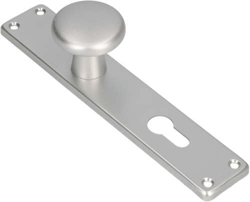 Ami knop 160 50 vast langschild 212 41 rh profielcilinder 72 f1 - 313796