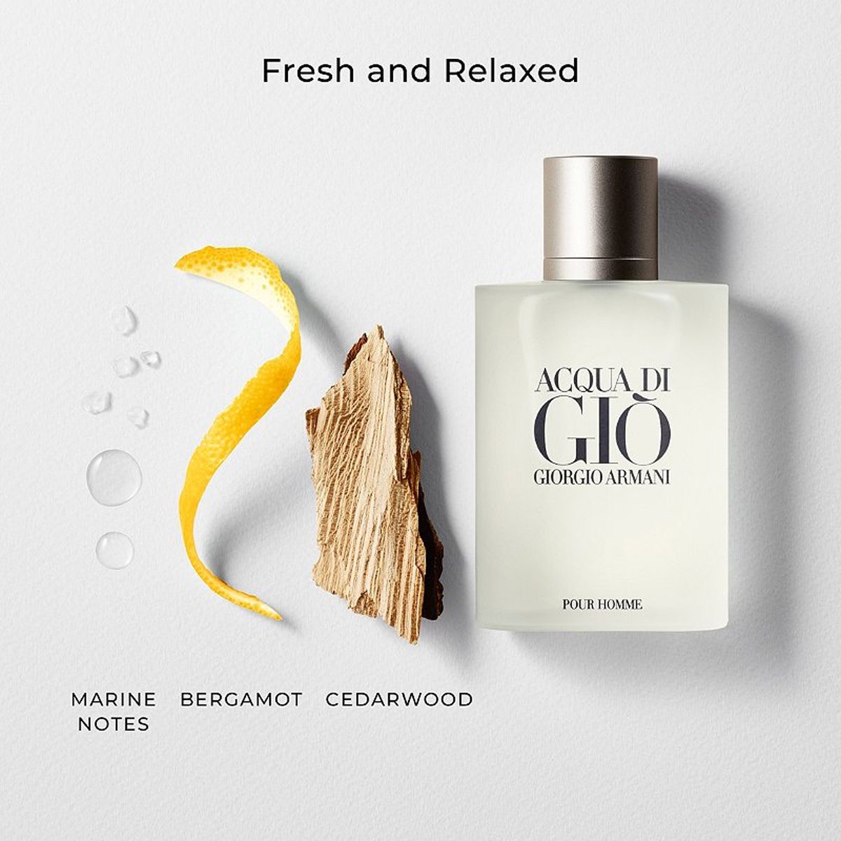 Giorgio armani eau de toilette spray acqua di gio homme 100ml heren