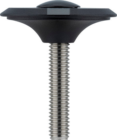 Ritchey comp top cap