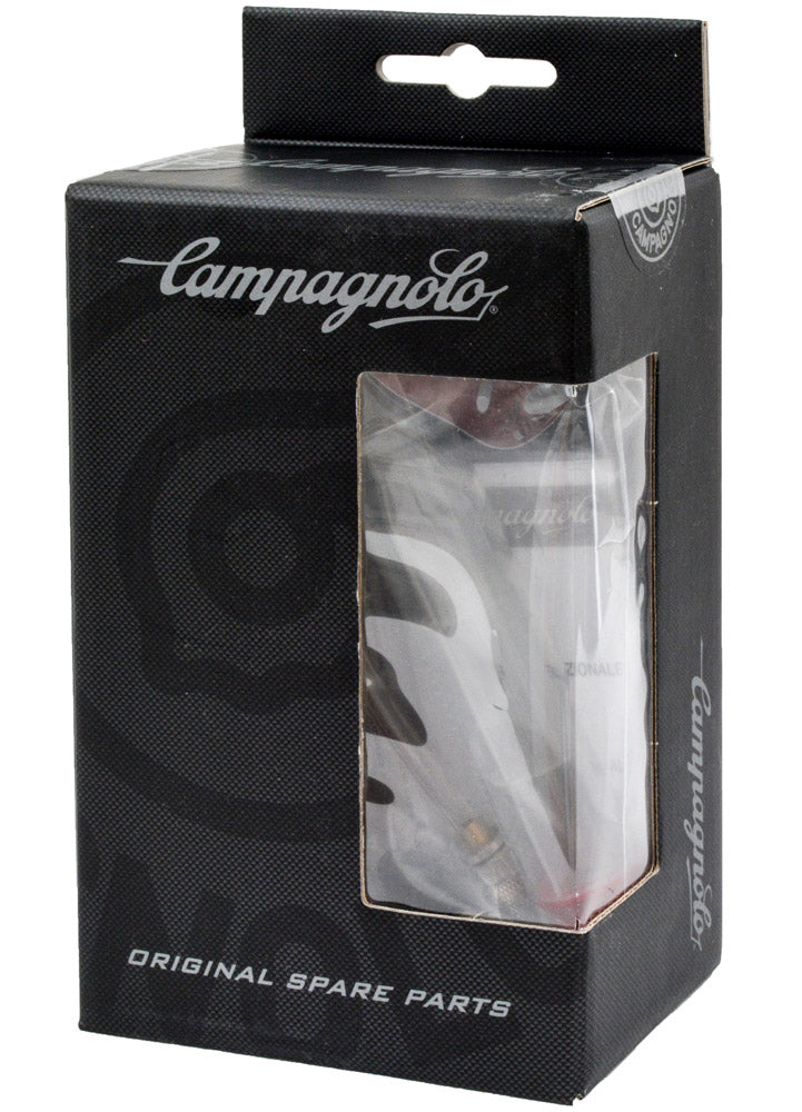 Campagnolo bleed kit