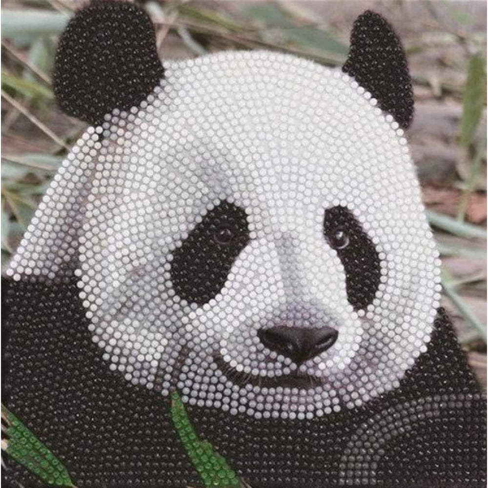 Brandunit diamant schilderij - kaart reuzenpanda