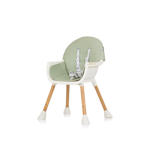 Rio 2-in-1 Kinderstoel met Eetblad Zitkussen Aloe Groen Wit