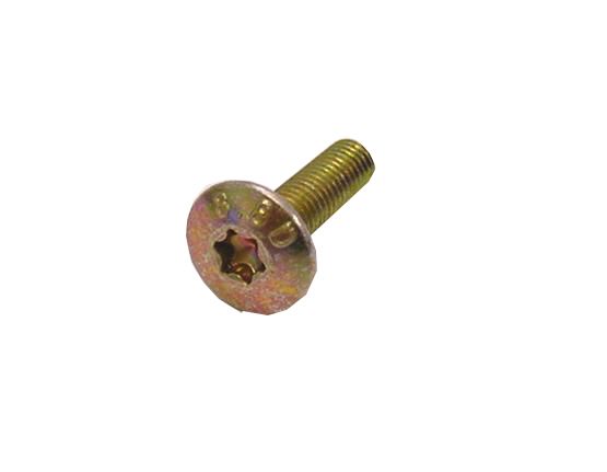 Batavus anp slotd bout 5x18 torx ds a 10