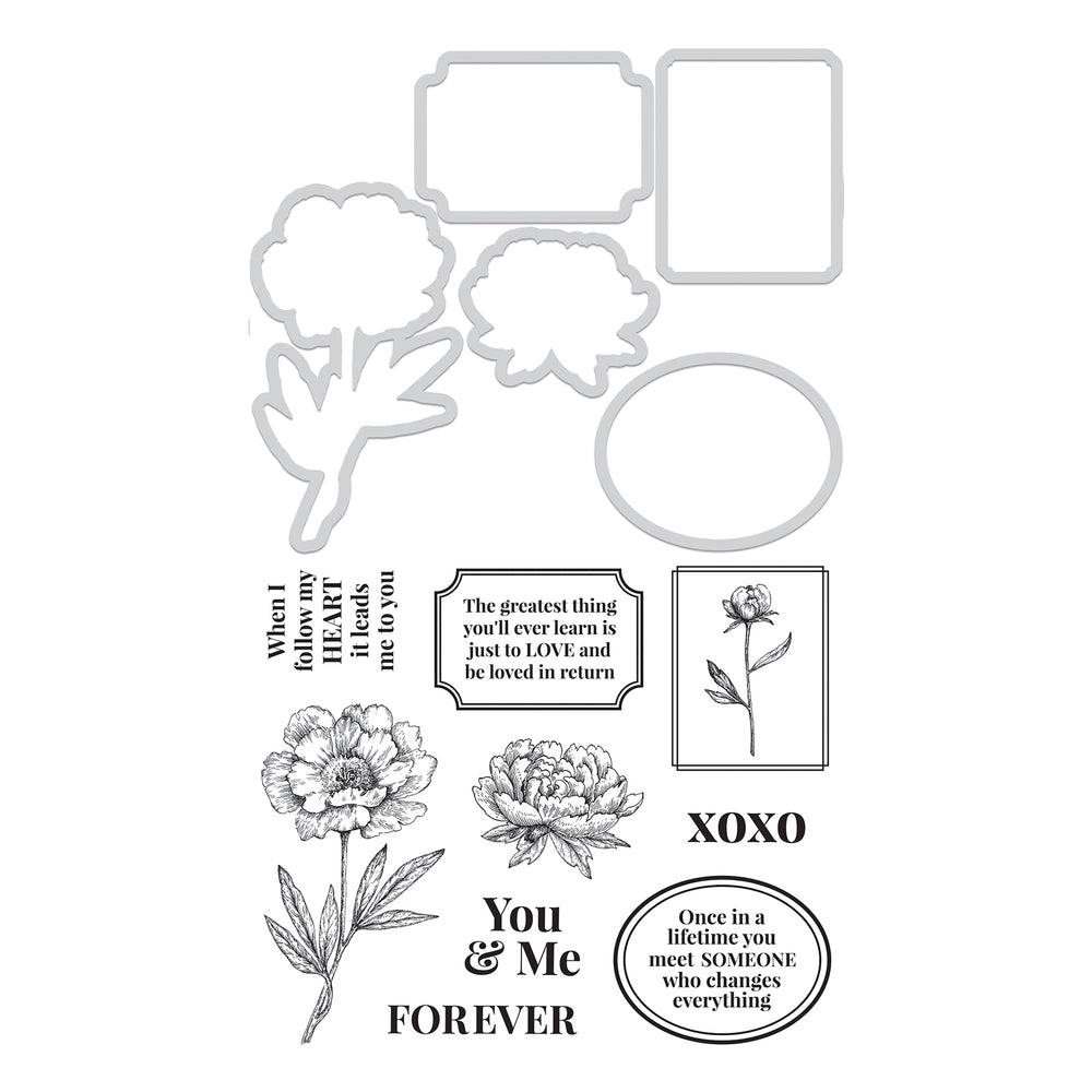 Kaisercraft • decorative die stamp you me