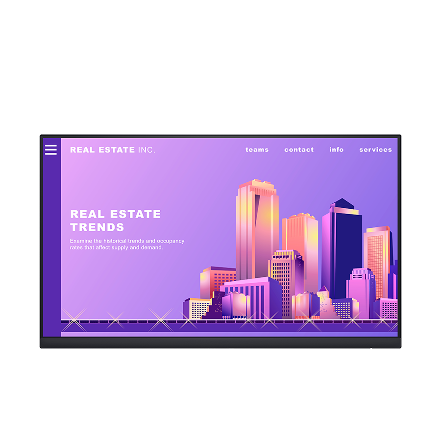 Dell monitor p2422h 23,8 inch (zonder standaard)