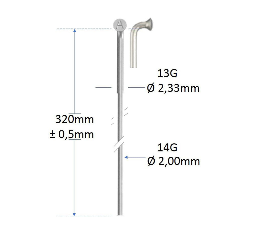 Buzaglo roveba 'spaak-op-maat' alpina spaak 14 rvs met kop 13 - per stuk