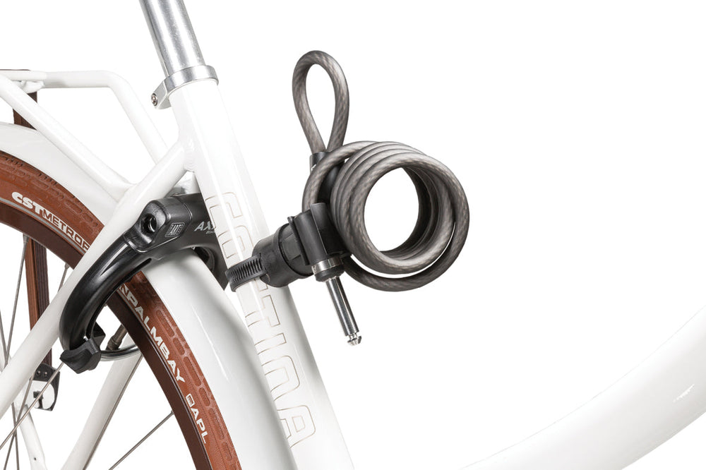 AXA UPI 150 10 Plug-in Chain