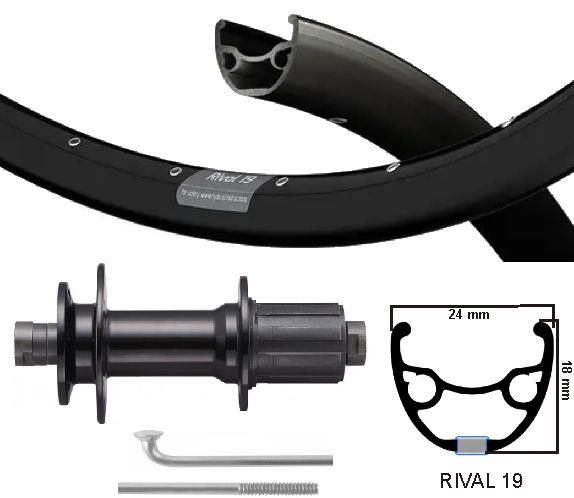 Kgs achterwiel 28 inch (622) rival zwart cassette holle als 8-10v schijf