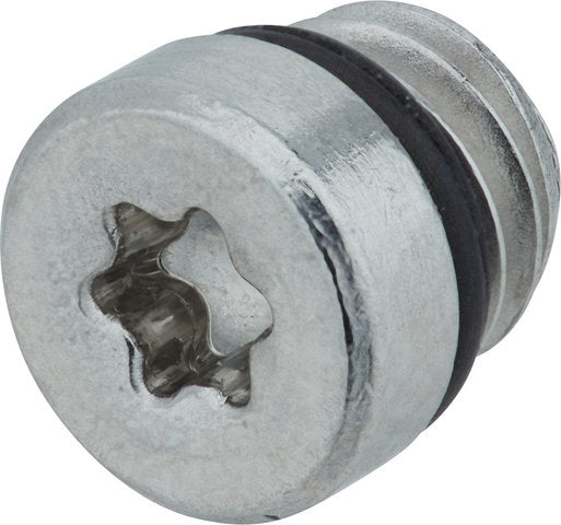 Formula bleeding grub screw for cura cura e