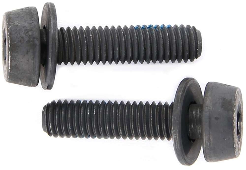 Campagnolo mounting bolts for disc brakes (pack of 2)