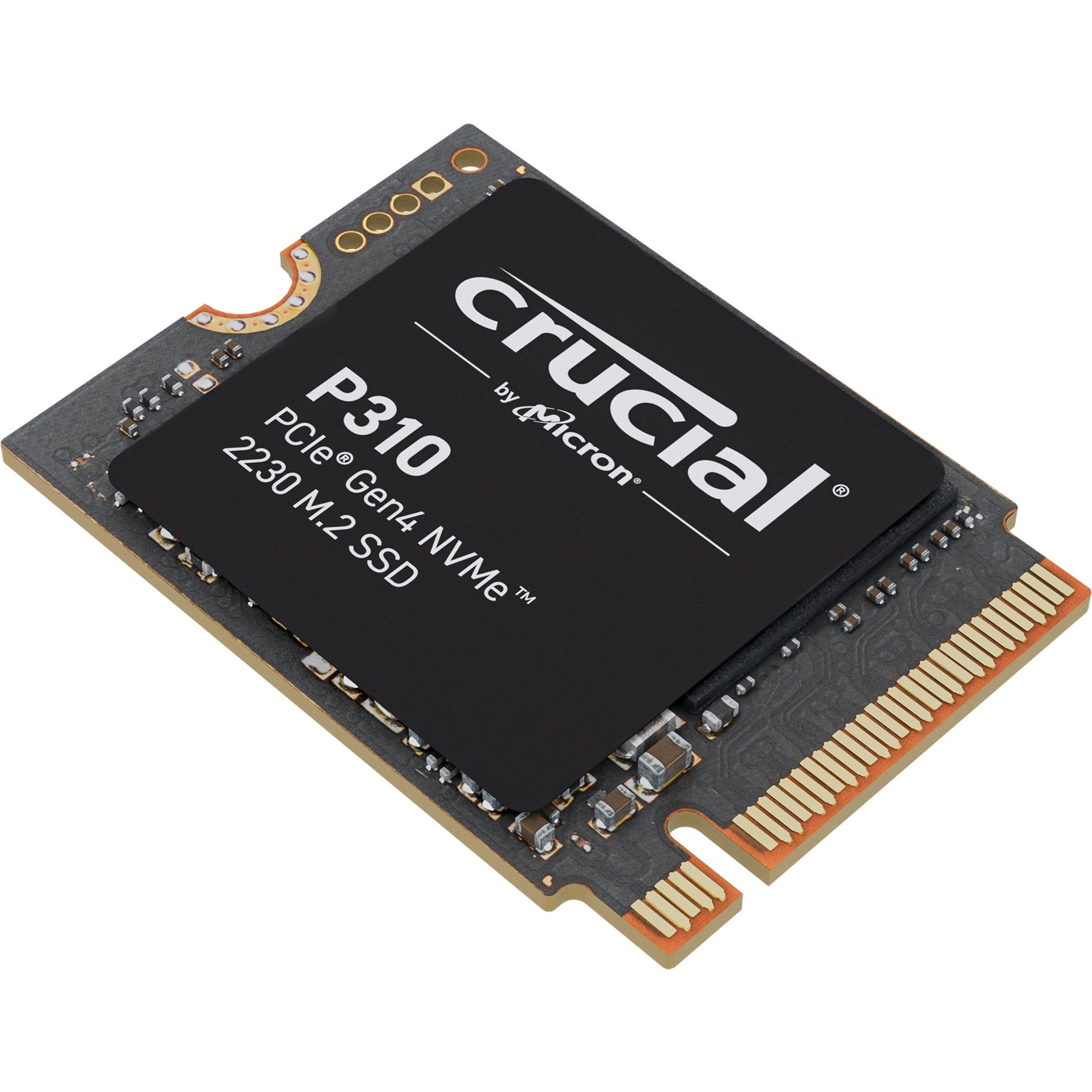 Cruciale P310 1 TB