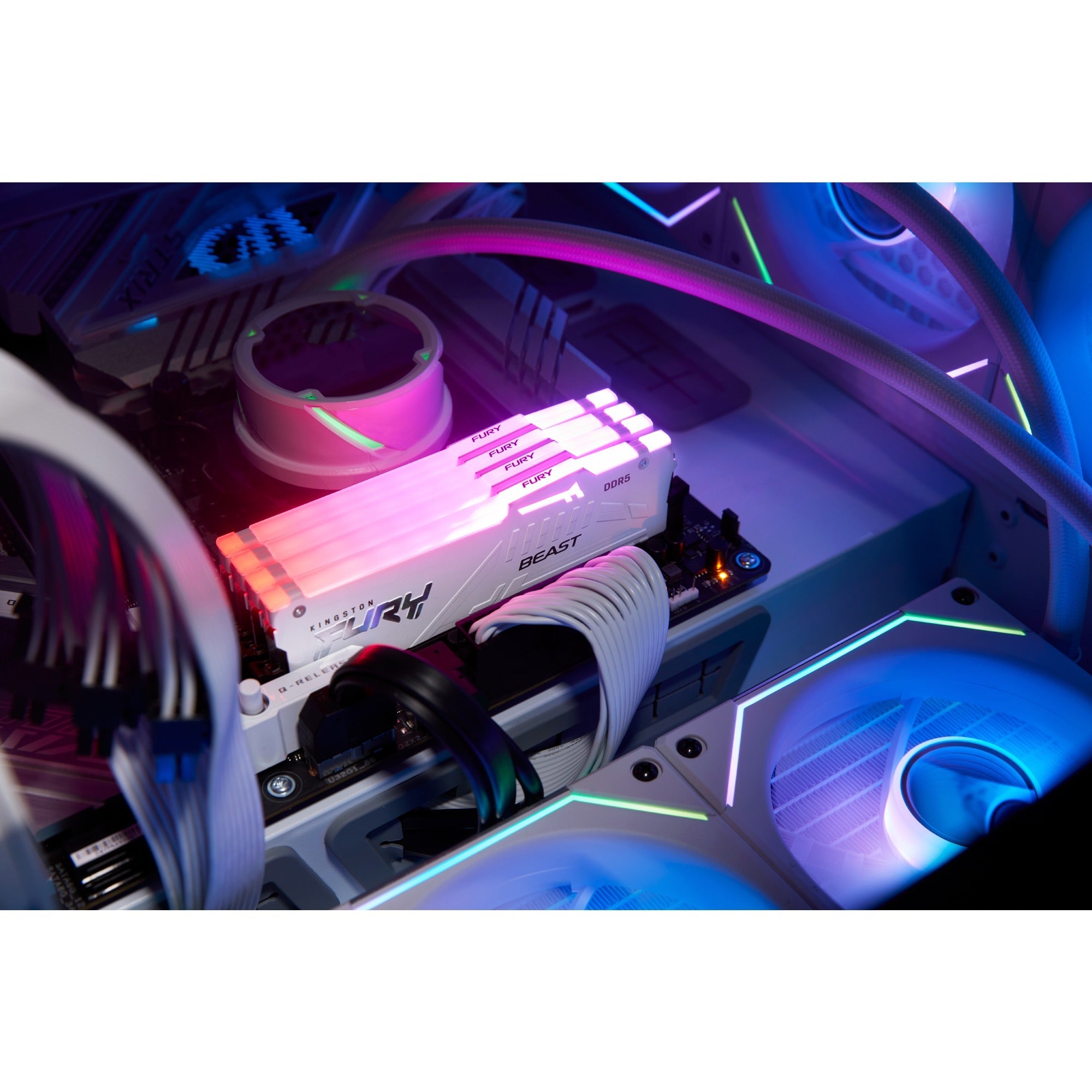 Kingston fury beast rgb 16 gb ddr5-5600 (1x 16 gb) werkgeheugen (wit, kf556c40bwa-16, xmp 3.0)