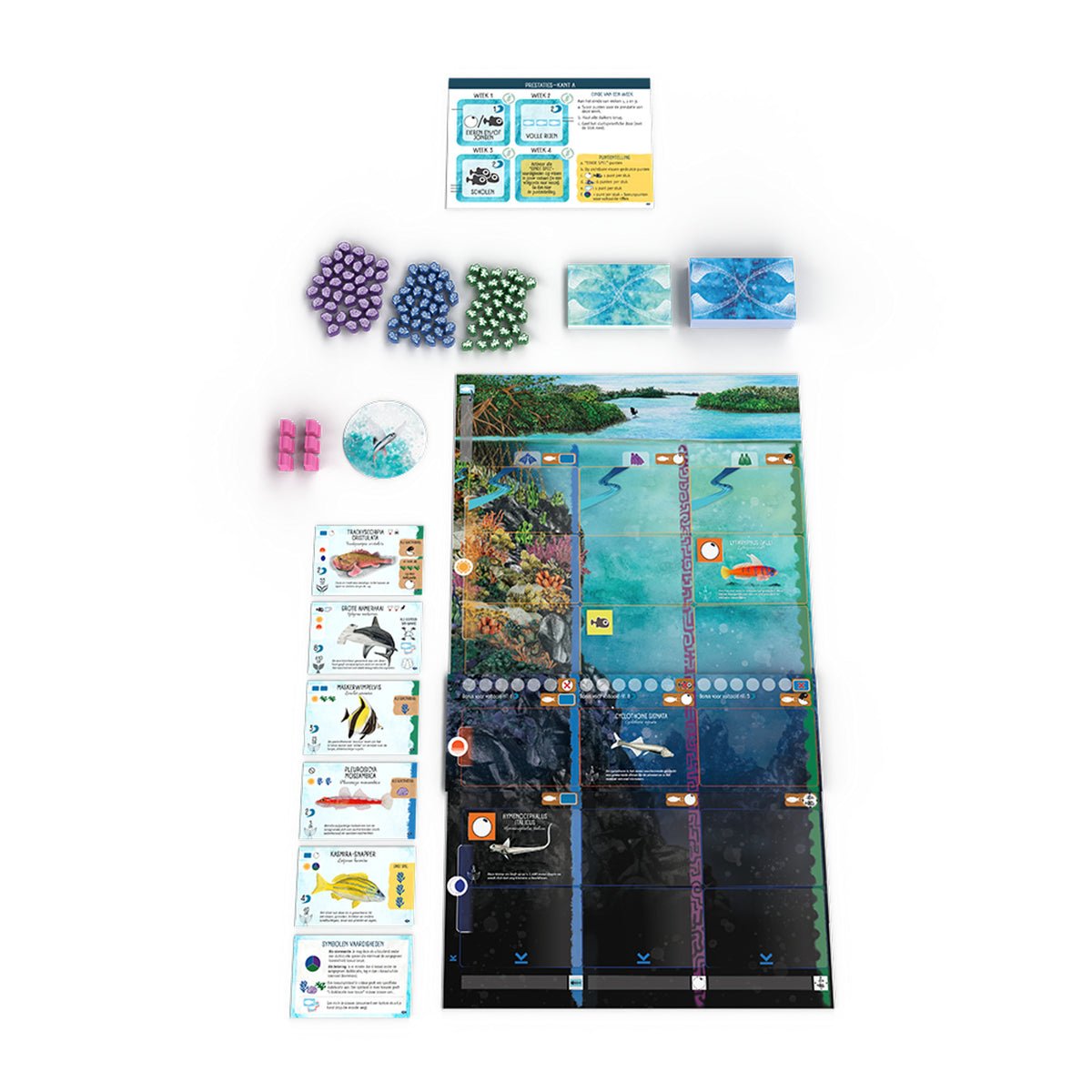 999games 999 games finspan uitbreiding: haaien en riffen bordspel (uitbreiding, nederlands, 1 - 5 spelers, 45 minuten, vanaf 10 jaar)