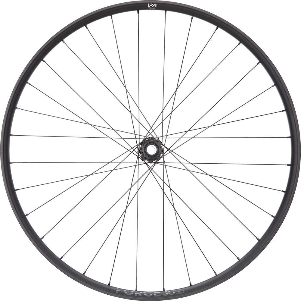 Newmen forge 30 strong enduro 29 6-bolt 15 20x110 fade front wheel