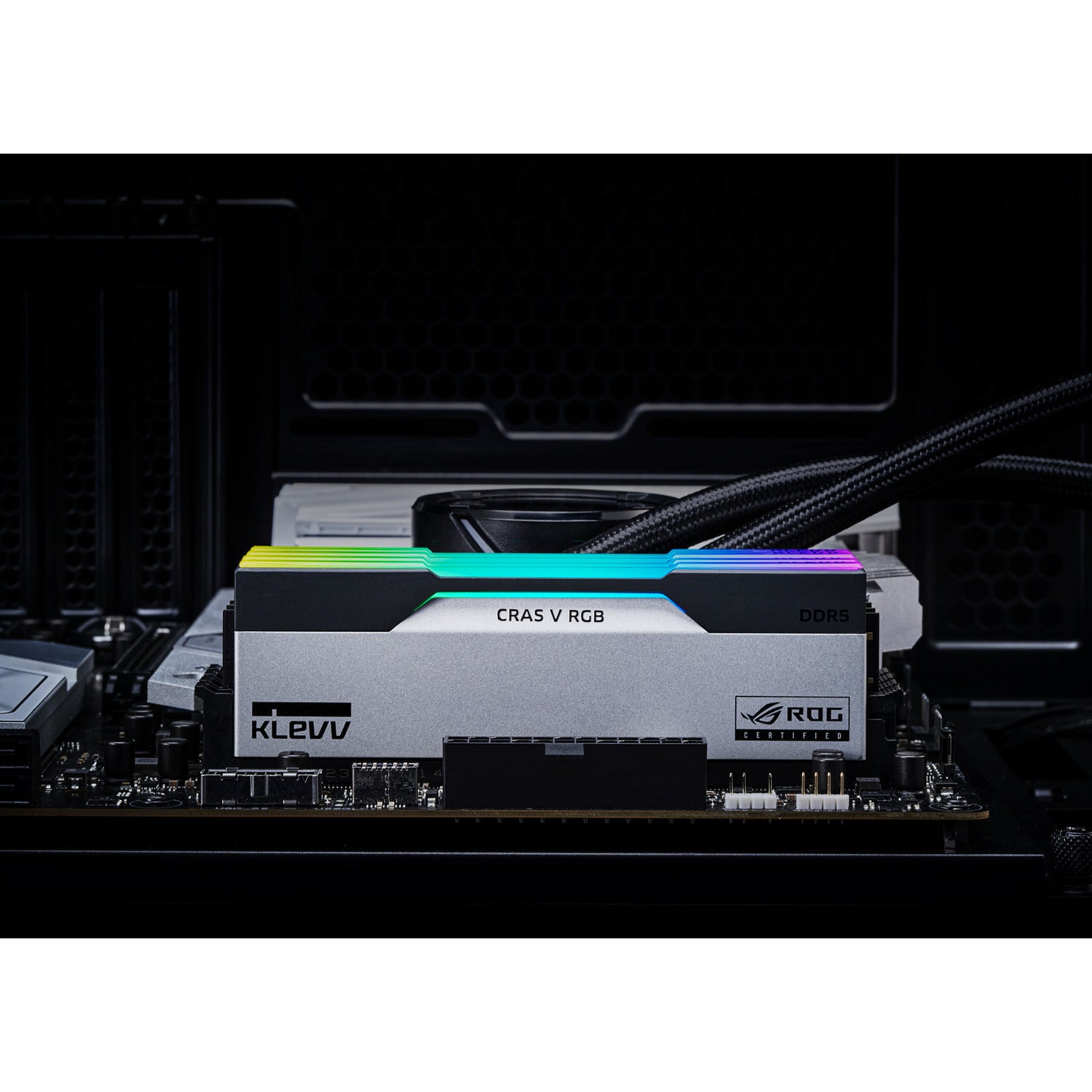 Klevv 32 gb ddr5-6200 (2x 16 gb) kit werkgeheugen (wit zwart, kd5agua80-62b320p, cras v rgb rog, xmp 3.0, expo)