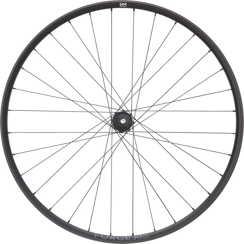Newmen forge 30 strong enduro 29 6-bolt 12x148 fade rear wheel