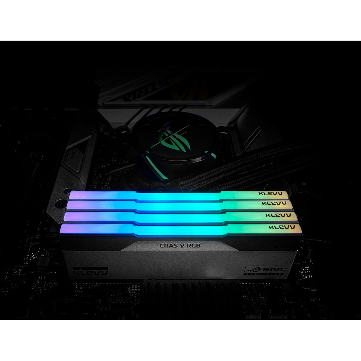 Klevv 32 gb ddr5-6200 (2x 16 gb) kit werkgeheugen (wit zwart, kd5agua80-62b320p, cras v rgb rog, xmp 3.0, expo)