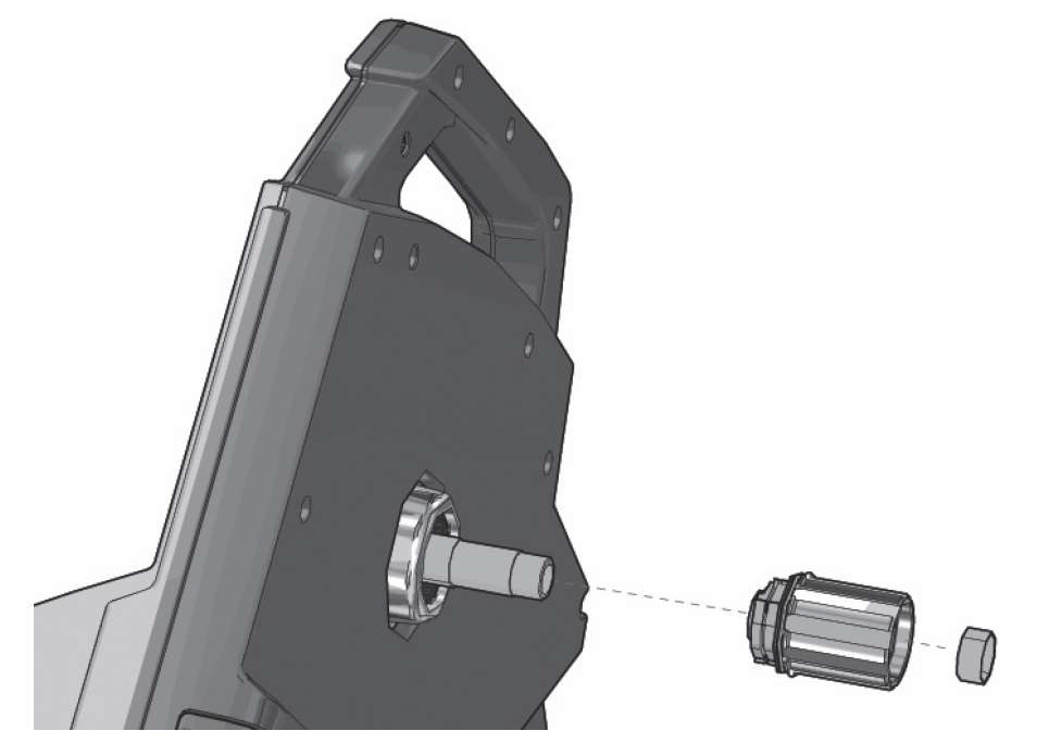 Elite campagnolo ed freehub body