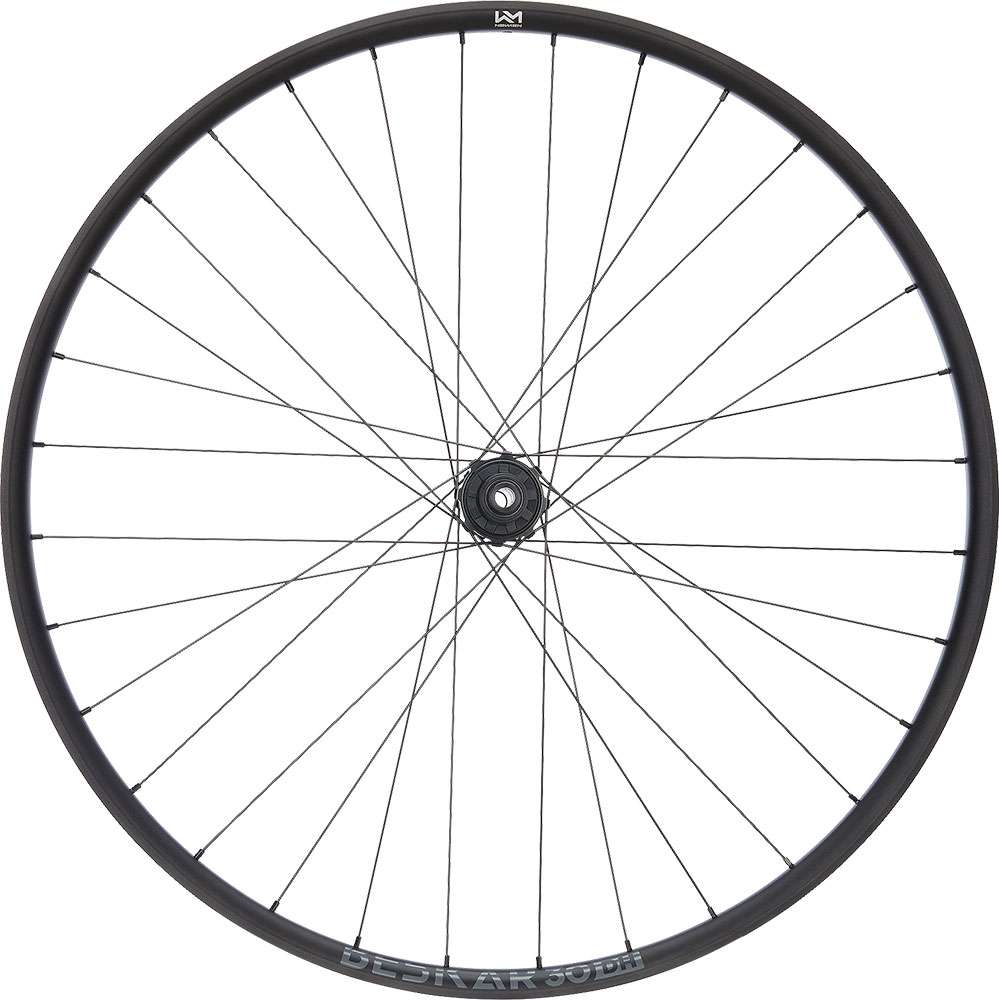 Newmen beskar 30 dh 29 6-bolt 12x148 fade rear wheel