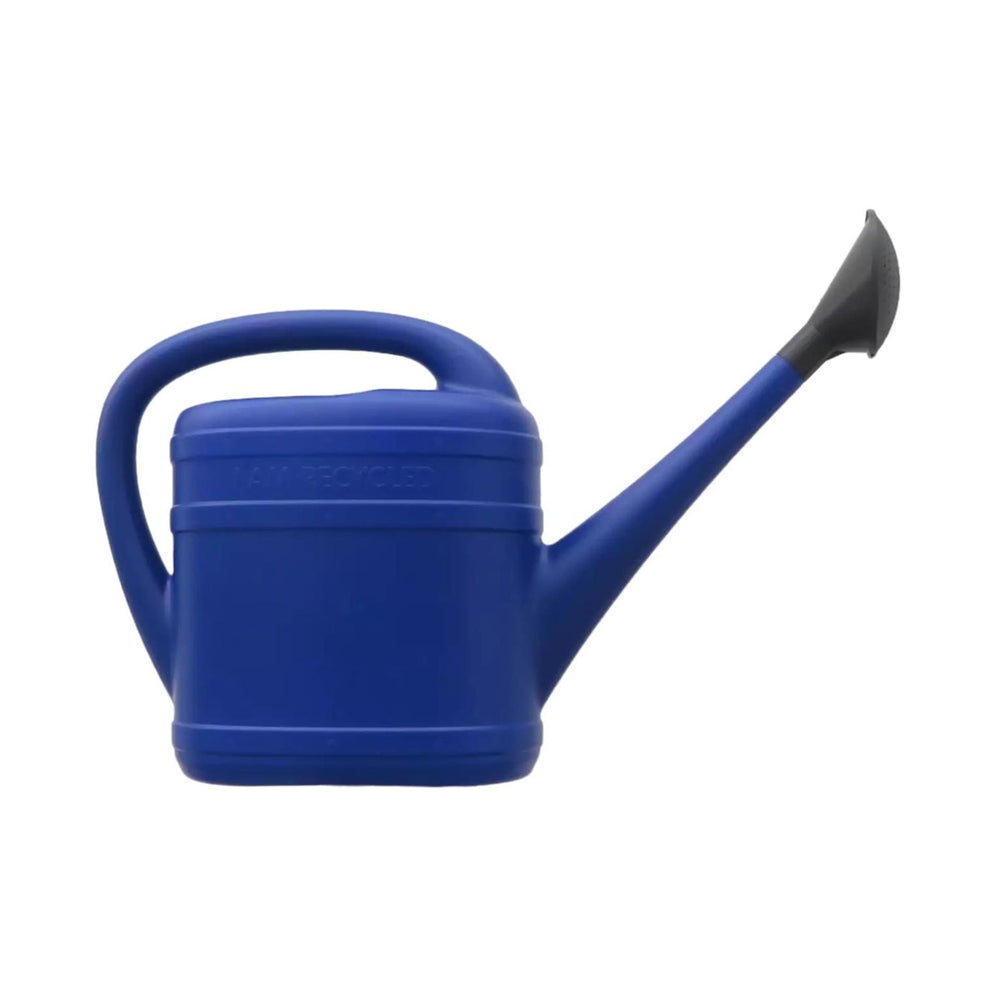 Florus gieter 10l met sproeikop blauw