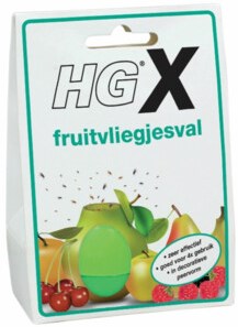 Hg x fruit fly trap - 10640479