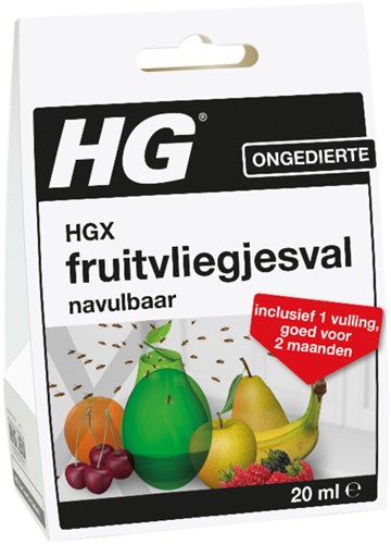 Hg x fruit fly trap - 10640479