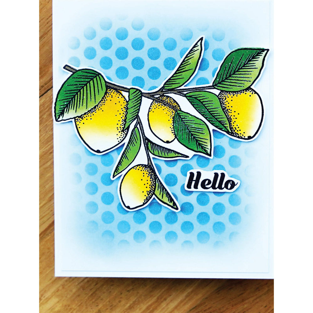 Ranger ink ranger • simon hurley create photopolymer stamps zesty